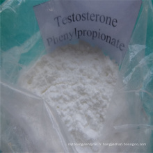 Augmenter la croissance des cheveux Testosterone Phenylpropionate Steriods N ° CAS: 1255-49-8